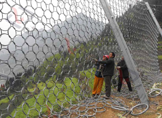 邊坡防護(hù)網(wǎng)